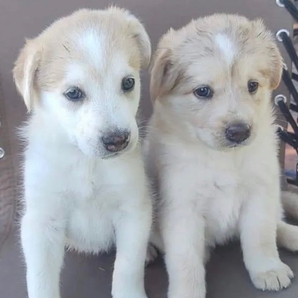 Meet your Posher, Jeff - Picture 1 of 1